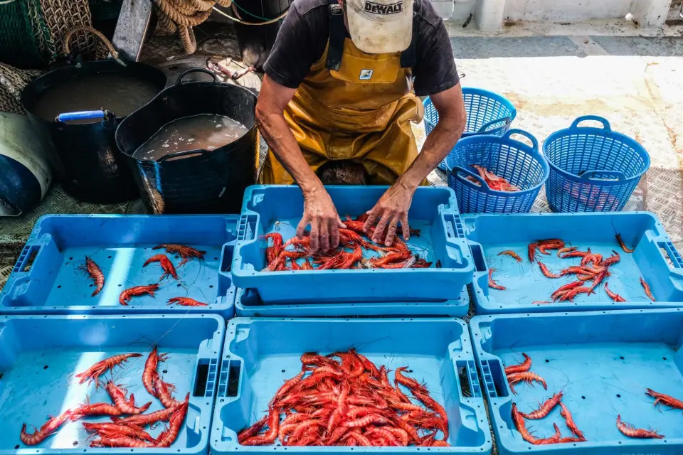 España mantiene los 143 días de pesca al arrastre en el Mediterráneo pese al recorte propuesto por Bruselas