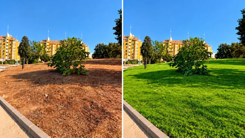 Dénia si presenta come città verde, ma le sue foto mostrano un'altra realtà: quale modello di aree verdi vuole la città?