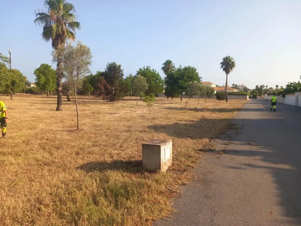 Dénia si presenta come città verde, ma le sue foto mostrano un'altra realtà: quale modello di aree verdi vuole la città?