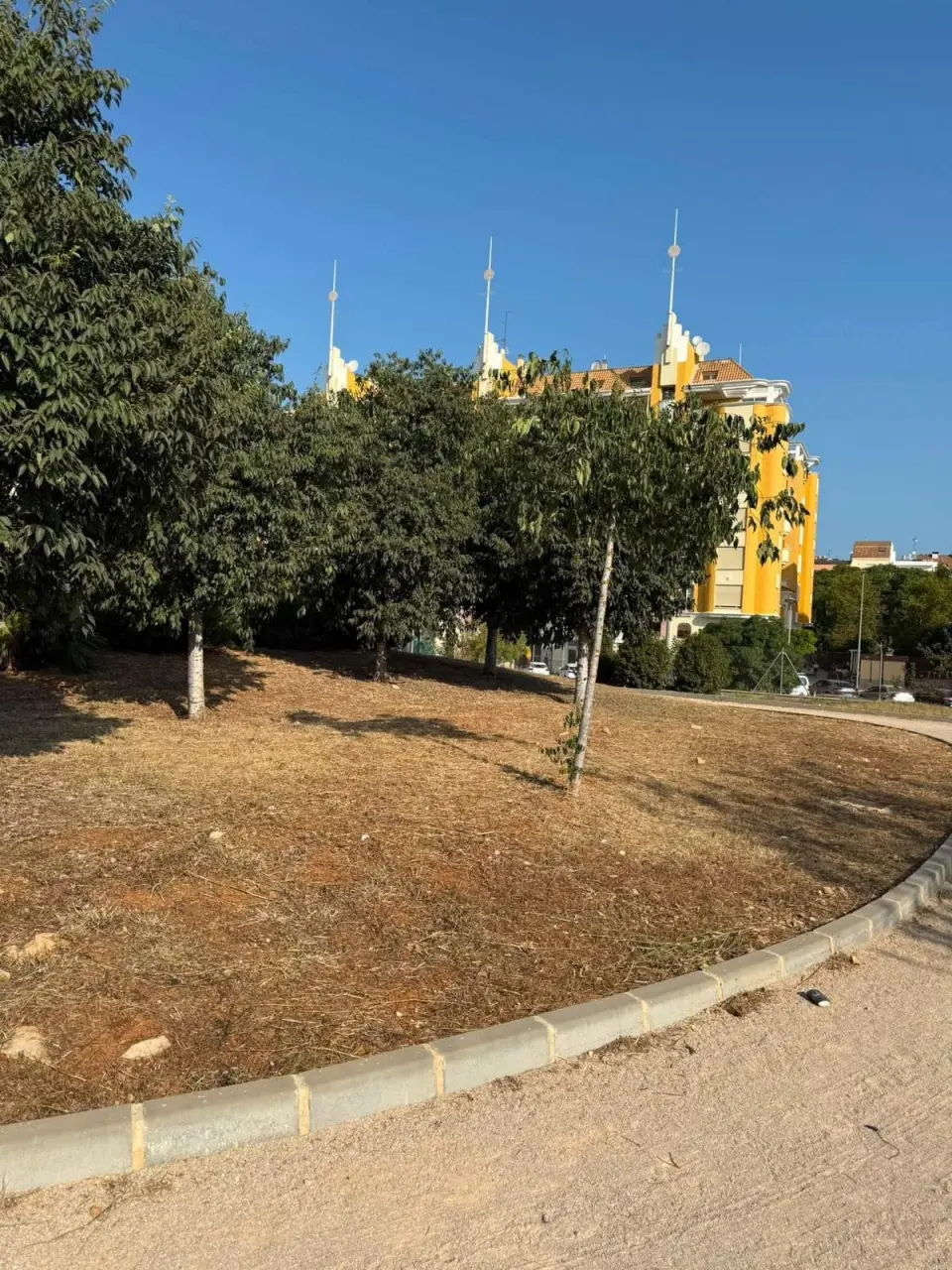 Dénia si presenta come città verde, ma le sue foto mostrano un'altra realtà: quale modello di aree verdi vuole la città?