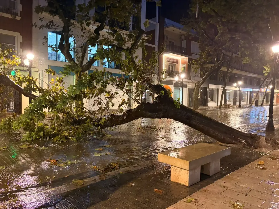 Dénia en alerte rouge : la tempête de vent et pluie fait tomber des arbres et coupe la CV-735