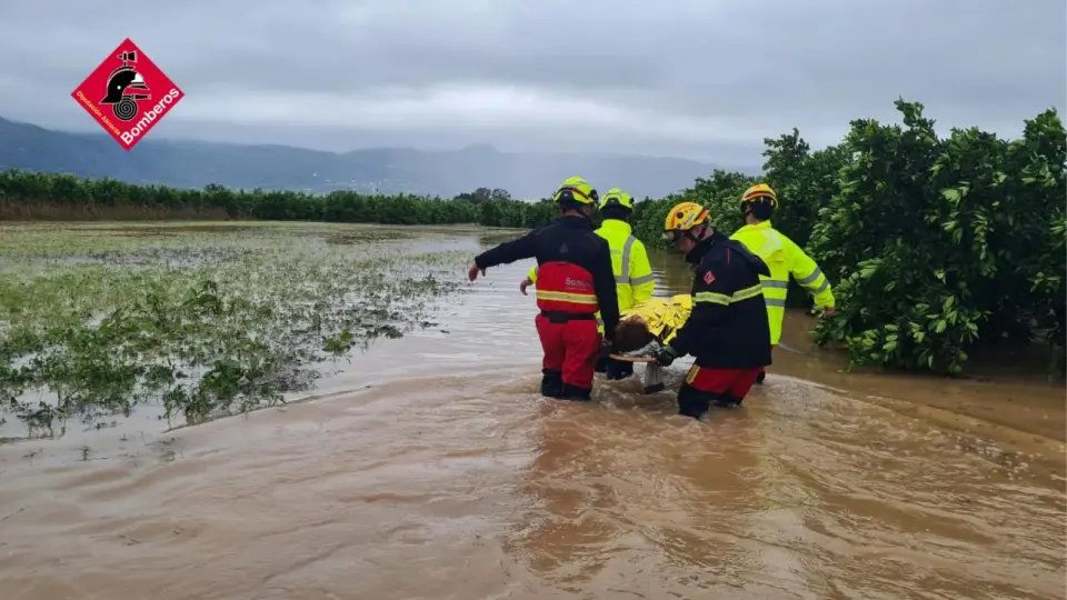 Encuentran sin vida a un agricultor en la marjal de Pego-Oliva tras el paso de la DANA Adam