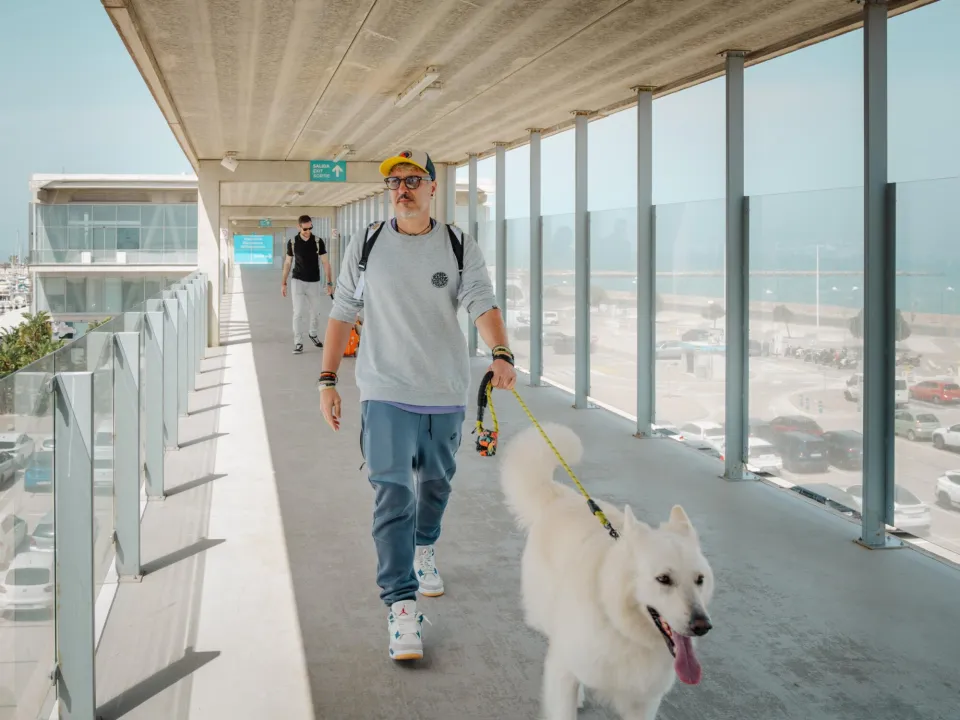 Baleària prepara la Pet Week 2026 con un concurso para elegir a la mascota más querida de sus travesías